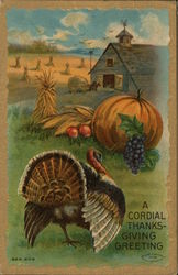 Picture of a Turkey and an Pumpkin Postcard