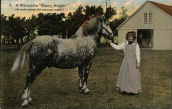 A Women and her Horse Postcard