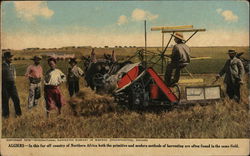 Algiers Farming Postcard Postcard