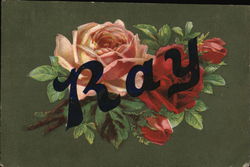 Ray - Picture of a Red and PInk Rose Names Postcard Postcard