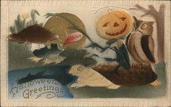 A Jack O Lantern and an Owl, Airbrushed Halloween Postcard Postcard