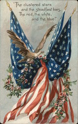 An Eagle and the American Flag Postcard