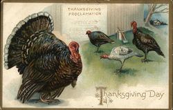 Thanksgiving Day Turkeys Postcard Postcard