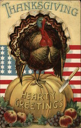 Turkey Standing on Pumpkin Thanksgiving Hearty Greetings Postcard