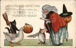 "Witch" Would You Rather Be...a Goose...or a Pumpkin Head?" Postcard