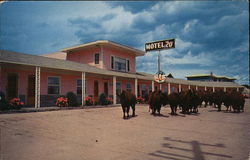 Motel 20, On Highway 20 & 140 Postcard