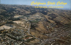 Aerial View of California State College Postcard