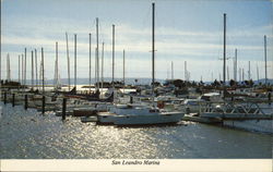 Peaceful Setting at San Leandro Marina Postcard