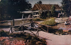 Outdoor Flower Exhibit Behind Hall of Flowers Sacramento, CA Postcard Postcard Postcard