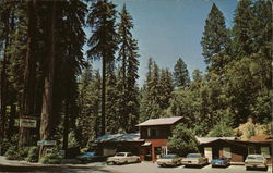 Elim Grove Resort Cazadero, CA Postcard Postcard Postcard