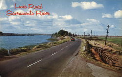 Levee Road Sacramento River California Postcard Postcard Postcard