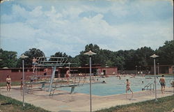 Public Pool, Paris Landing State Park Postcard