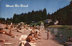 Monte Rio Beach on the Russian River Postcard