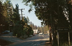 greetings From Blue Jay, California Postcard