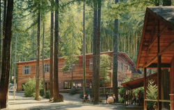 Alliance Redwoods, Christian Camp & Conference Center Camp Meeker, CA Postcard Postcard Postcard