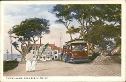 View of The Willows York Beach, ME Postcard Postcard Postcard