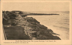 North East Shore from The Lyman-Hastings York Beach, ME Postcard Postcard Postcard