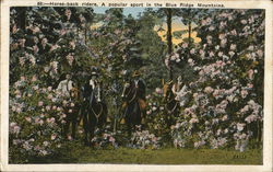 Horse-Bacjk Riders, A Popular Sport in the Blue Ridge Mountains Horses Postcard Postcard Postcard