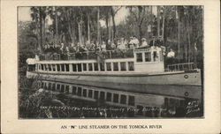 An "N" Line Steamer on the Takoma River Steamers Postcard Postcard Postcard