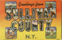 Greetings From Sullivan County New York Postcard Postcard