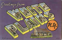 Greetings From White Plains New York Postcard Postcard