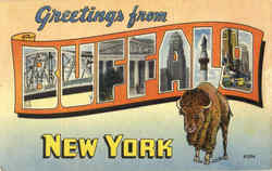 Greetings From Buffalo Postcard