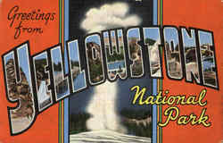 Greetings From Yellowstone National Park Postcard