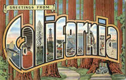 Greetings From California Postcard Postcard