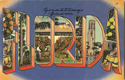 Greetings From Florida Postcard Postcard