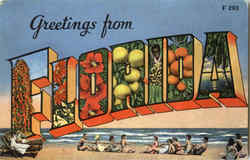 Greetings From Florida Postcard