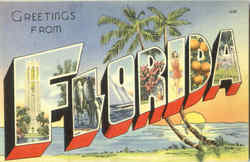 Greetings From Florida Postcard Postcard