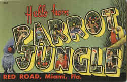 Hello From Parrot Jungle, Red Road Miami, FL Postcard Postcard