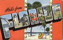 Hello From Florida Postcard