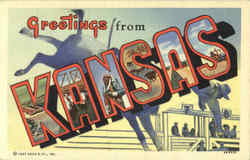 Greetings From Kansas Postcard Postcard