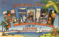 Greetings From Florida Postcard