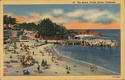 View of the Beach Postcard