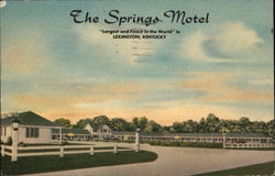 The Springs Motel Lexington, KY Postcard Postcard Postcard