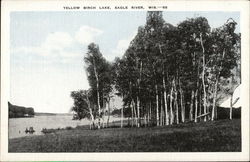 Yellow Birch Lake Eagle River, WI Postcard Postcard Postcard