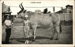 Lonestar, Largest Known Car Cows & Cattle Postcard Postcard Postcard