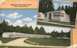 Wyland's Forest Park Motel Postcard