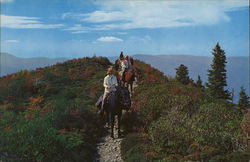 Horseback Riders High in the Great Smoky Mountains National Park Postcard