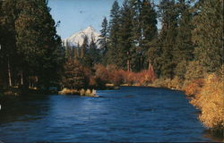 Metolius River & Mt. Jefferson Postcard