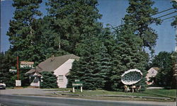 McGarvey's Shamrock Motel Postcard