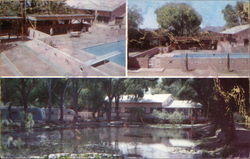 Desert Shores Trailer Court Tucson, AZ Postcard Postcard Postcard