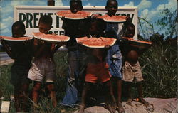 Watermelon Time Down South Postcard