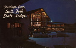 Salt Fork State Lodge Cambridge, OH Postcard Postcard Postcard