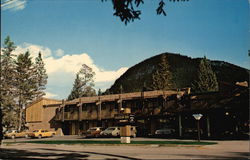 Driftwood Motor Inn Postcard