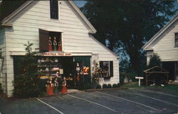 The Christmas Tree Gift Shops, Cape Cod Postcard