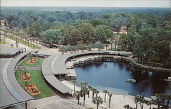 A Bird's Eye View of Florida's Silver Springs Postcard Postcard Postcard