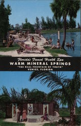 Warm Springs Mineral Springs Venice, FL Postcard Postcard Postcard